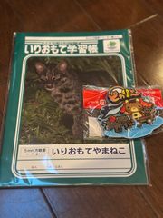 いりおもて学習帳と八重山マグネット