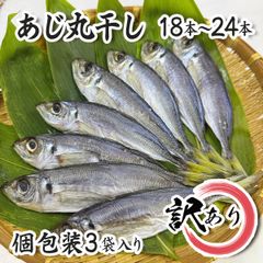 【訳あり】クーポン配布中!!  アジの丸干 18本〜24本 九鬼港水揚 「6〜8本 × 3袋セット」水揚げされたその日のうちに加工 朝食の定番 ごはんのお供 三重県 尾鷲市 九鬼町