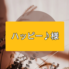ハッピー様専用バラ 並  30本 切花生花