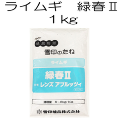 ライムギ種子　緑春２　1kg【種】雪印種苗　緑肥物語　緑肥の種