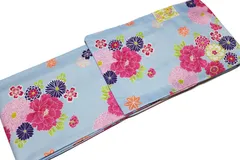 お仕立て上がり袷着物-No.660【M L TL各サイズ・選択肢有/地色：水色/洗える/着物/お買い得品/canoa/香乃逢)