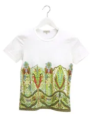ETRO - ETRO エトロ Tシャツ・カットソー 40(M位) 青x緑x黄等(総