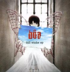 美品 CD boa ボア/トール・スネーク・EP lain ミニアルバム - メルカリ