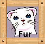 新品 上質クロスミンクと上品なフォックスの編込みハット ギフト