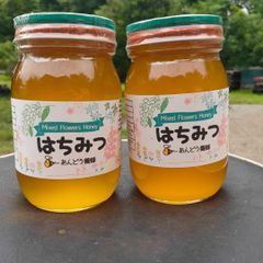 【添加物なし】はちみつ 600g×2瓶 蜂蜜 ハチミツ セイヨウミツバチ 国産