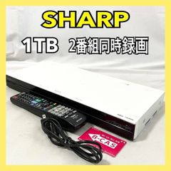 東芝 レグザ 500GB 2番組同時録画 ブルーレイレコーダー DBR-Z510 東芝 レグザ 500GB 2番組同時録画 ブルーレイレコーダー DBR