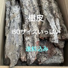 樹皮　木の皮