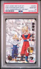 2025年最新】孫悟飯少年期 psa10の人気アイテム - メルカリ
