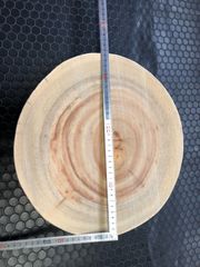 クス丸太輪切り材