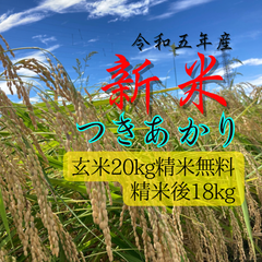 新米 令和五年 新潟県 つきあかり 玄米 20kg(10×2)