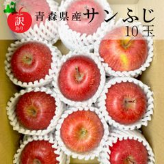 【新物訳あり】青森県産りんご（サンふじ）10玉（小玉）【北陸～関西エリア限定】