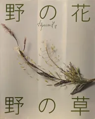 わたしのエプロンと布で作る野菜たち | 山上 るい |本 | 通販
