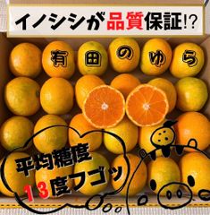 有田みかん　コンパクト便