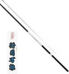 極美品 天龍 テンリュー 渓流竿 のべ竿 龍渓 皐月 540 2本セット