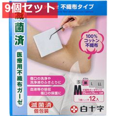 Item thumbnail for item 15717e42-ba3f-475a-9a3e-52c48f0b53cc