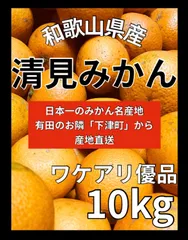 2024年最新】みかん 10kg sサイズの人気アイテム - メルカリ