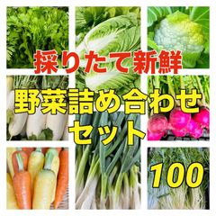 新鮮採りたて‼️野菜詰め合わせセット‼️100サイズ‼️お鍋セット‼️