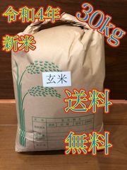 令和4年産 新米 玄米ヒノヒカリ 30kg