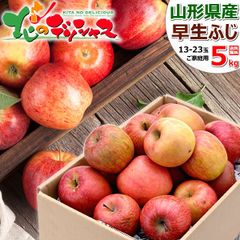 【予約/10月上旬(10月3日)頃～出荷予定】 山形県産 ご家庭用 りんご 早生ふじ 5kg (訳あり/13玉～23玉入り) リンゴ 林檎 わけあり ご自宅用 ご家庭用 お家用 お得 お買い得 果物 フルーツ 山形県 山形県直送 グルメ お取り寄せ