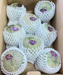 アンデスメロン　甘い蜜蜂交配　メロン　青肉メロン