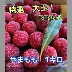 やまもも☆1キロ ヤマモモ果物 杨梅 - メルカリ