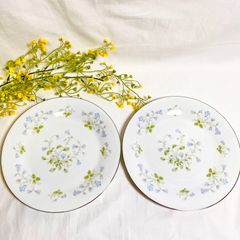 【2枚】Noritake ノリタケ　2753　中皿　花柄 　月桂樹　　ｎ印