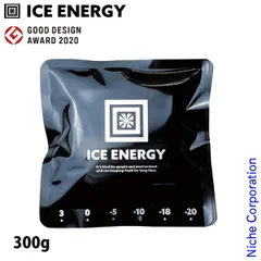 【新品】 アイスエナジー 保冷剤 アルミソフトケース 300g -10℃ IEASG2-10-300 保冷材 アウトドア 保冷 キャンプ BBQ バーベキュー