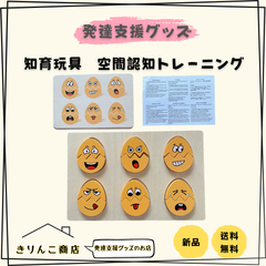 【発達支援グッズ】知育玩具　空間認知トレーニング　おもちゃ