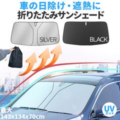 Item thumbnail for item 4fcfe51e-b92a-46a1-80a0-34beb2af8d94