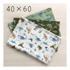 ランチョンマット40×60 3枚組(072) 恐竜柄