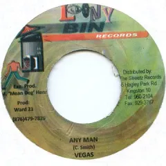 5034 SNOOP LION MR VEGAS スレンテン レゲエ レコード 5034 SNOOP LION MR VEGAS スレンテン レゲエ レコード 全商品