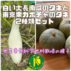 白い大長南瓜（かぼちゃ）のタネ5粒と東京栗南瓜のタネ10粒　無農薬・無科学肥料栽培のタネセット