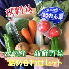 グッドふとんマーク取得 【2倍量】九州産 新鮮野菜 詰め合わせセット