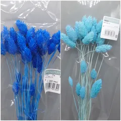 no.26678 ラグラス 空 新品 東北花材 オンライン everestleadhikari.com
