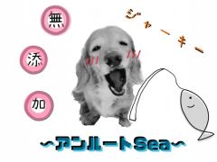 shop-thumbnail