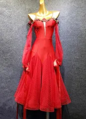 新品未使用 華やかなスタンダードドレス！競技会やデモ、発表会に最適なデザイン