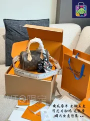 【今日特価】LV Speedy 20 Pillow Bag 2025 New Model-WTO輸入4