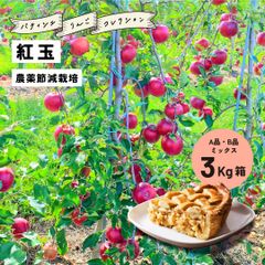 発送9月25日から「紅玉3キロ箱A品B品ミックス」 加工 生食 ジョナサン 紅玉 8玉から15玉