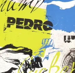 2026年最新】pedro 初回限定盤の人気アイテム - メルカリ