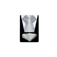 [HISDERN] シルバー ネクタイ結婚式 チーフ セット メンズ ペイズリー柄 就活 二次会 入学式 卒業式 ビジネス プレゼント高級 ブランド