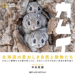激レア 萌えよ剣 猫丸 可愛いカーグッズ 非売品 - メルカリ