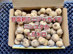 【鹿児島産】甘塩新ジャガイモ箱込み1.5キロ^_^