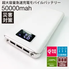 2025年最新】モバイルバッテリー 50000mah 大容量の人気アイテム