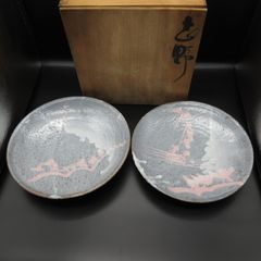 ★ 陶器 美濃焼 白山窯 志野 組絵皿 大皿 盛皿 額皿 飾り皿 11号【箱入】