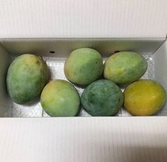 沖縄県産キーツマンゴー　3.9kg
