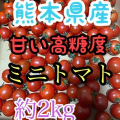 まとめ買いで超お得👍本場熊本県産ミニトマト🍅約2kg フルーツトマト　フォロワー様クーポン付きお得！