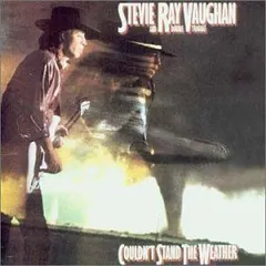 2023年最新】stevie_ray_vaughanの人気アイテム - メルカリ