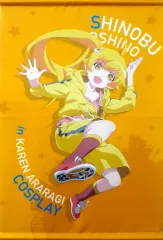 2025年最新】忍野忍 タペストリーの人気アイテム - メルカリ