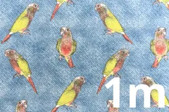 2025年最新】ウロコインコの人気アイテム - メルカリ