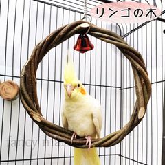 鳥 止まり木 丸い サークル ステップ 木 トイ ブランコ 丸型 リング インコ オウム カナリア 文鳥 林檎 リンゴの木 鈴 木の枝 鳥の木 木製 円型 鳥用止まり木